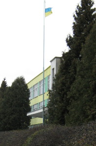 Червоноградська