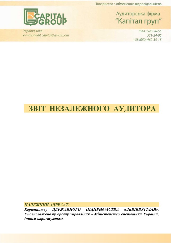 Аудиторський звіт за 2019_page-0001