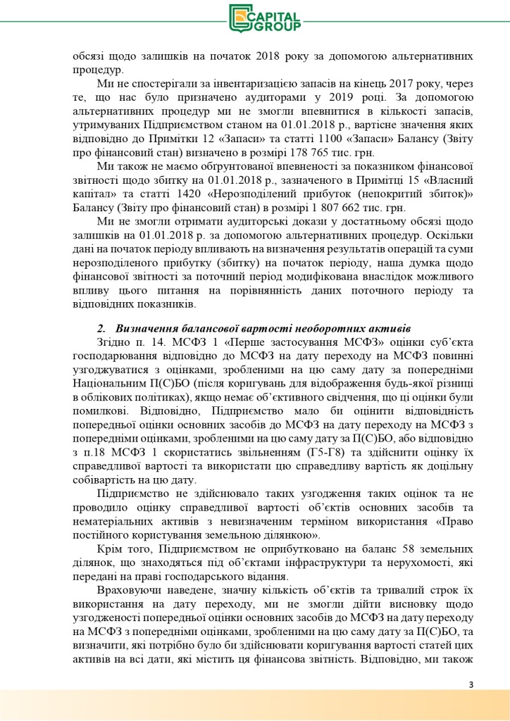 Аудиторський звіт за 2019_page-0003