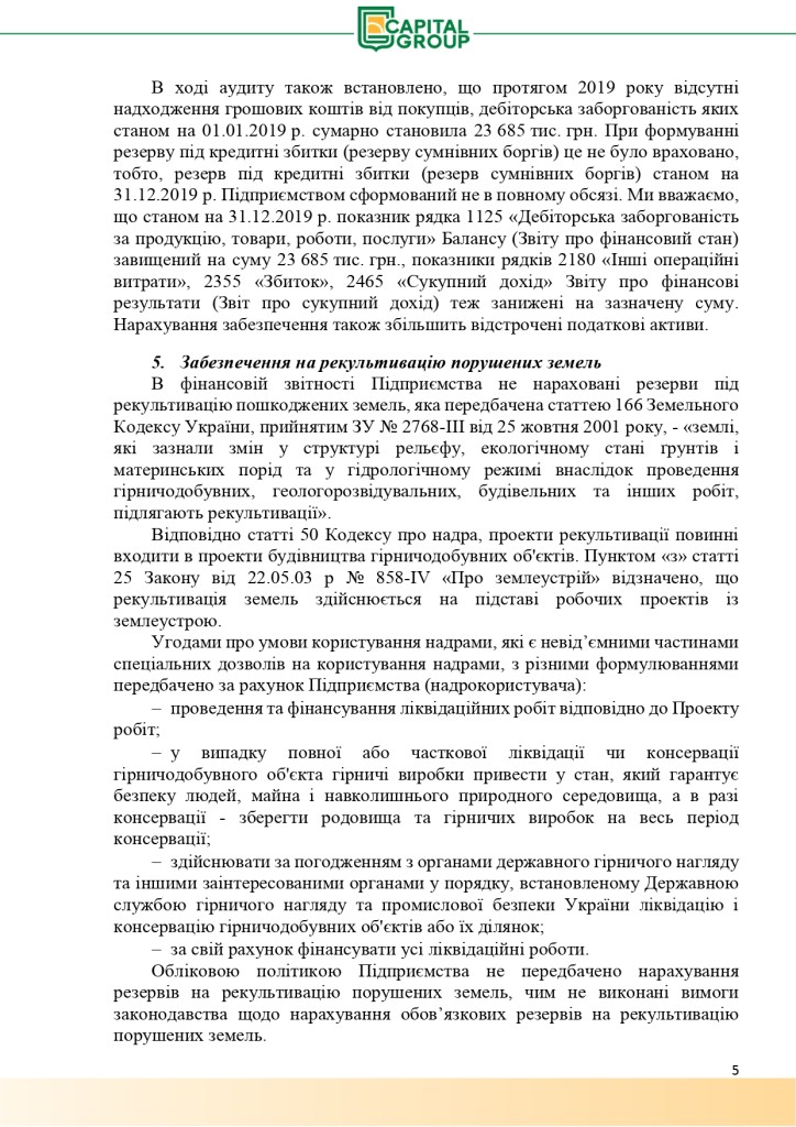 Аудиторський звіт за 2019_page-0005