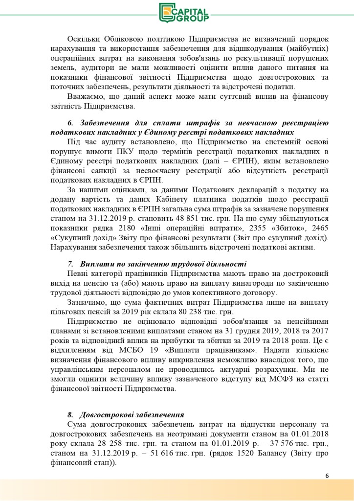 Аудиторський звіт за 2019_page-0006