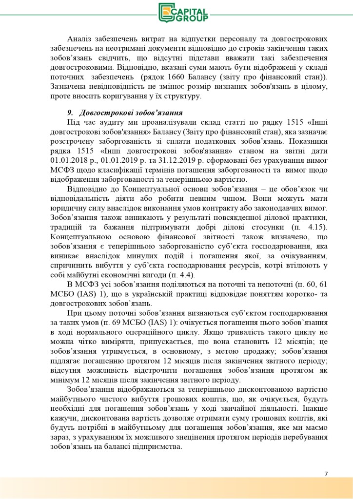 Аудиторський звіт за 2019_page-0007