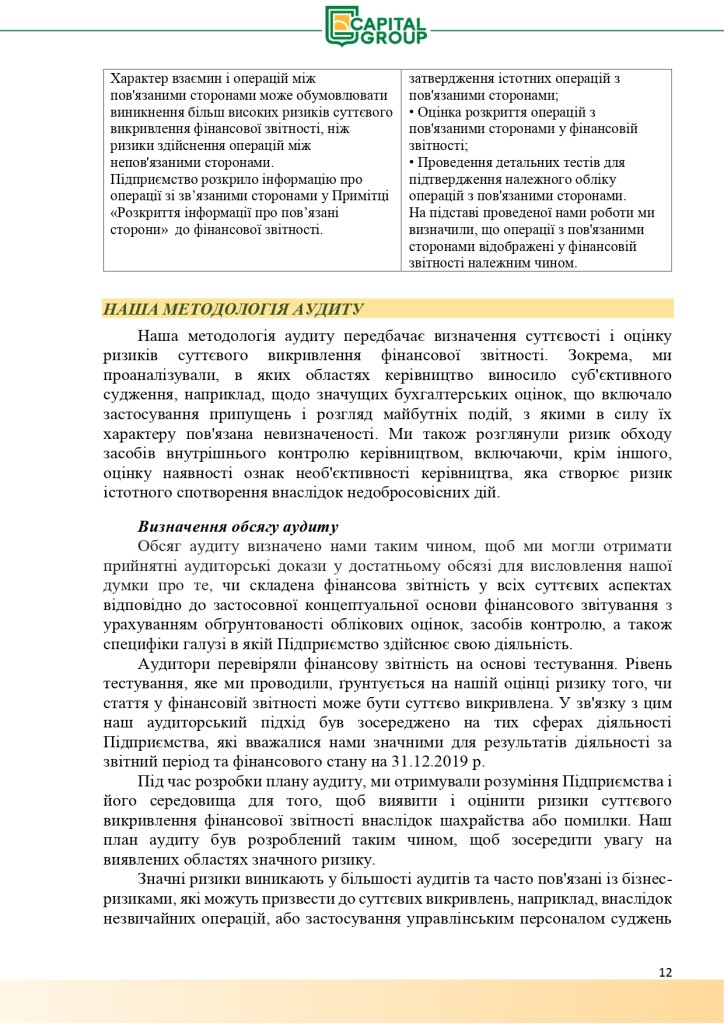 Аудиторський звіт за 2019_page-0012