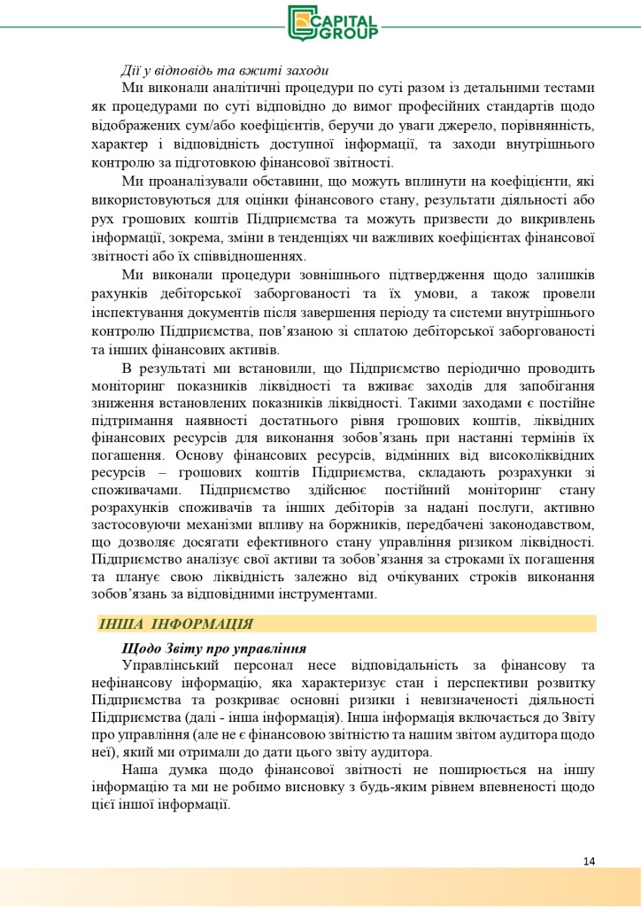 Аудиторський звіт за 2019_page-0014