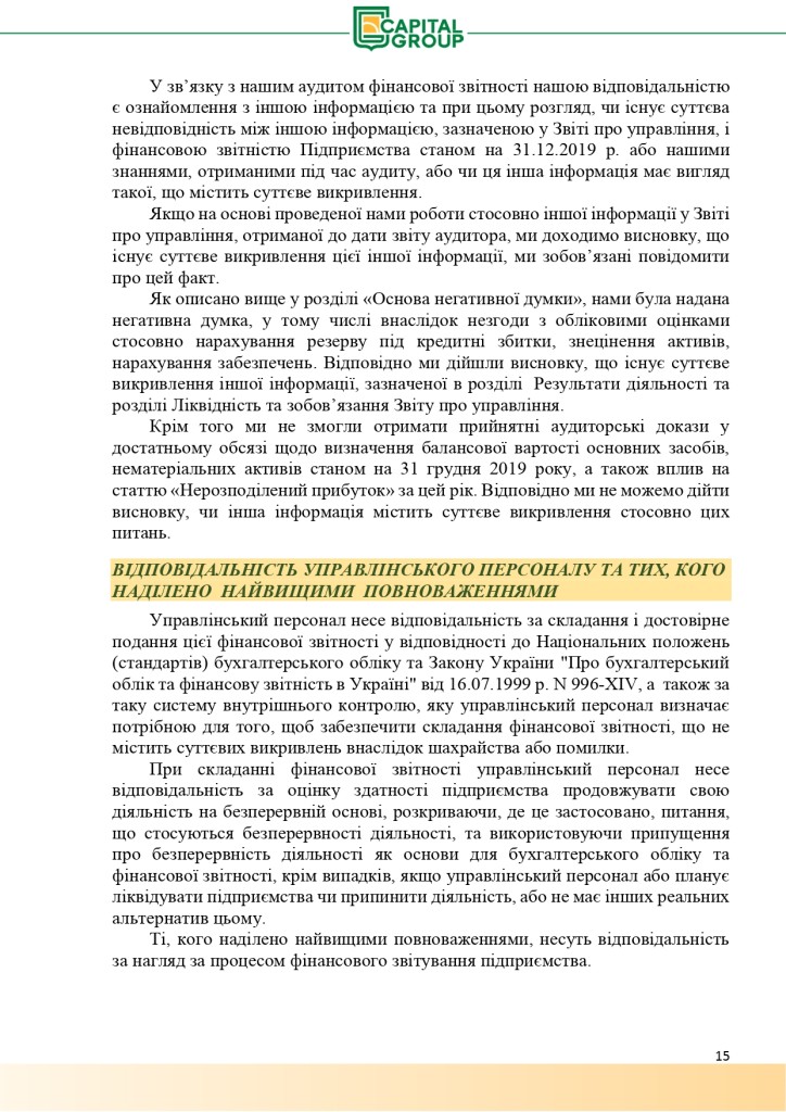 Аудиторський звіт за 2019_page-0015