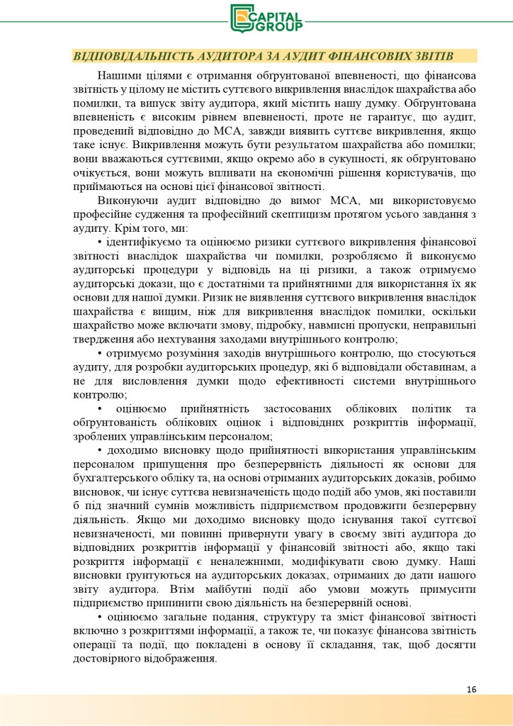 Аудиторський звіт за 2019_page-0016