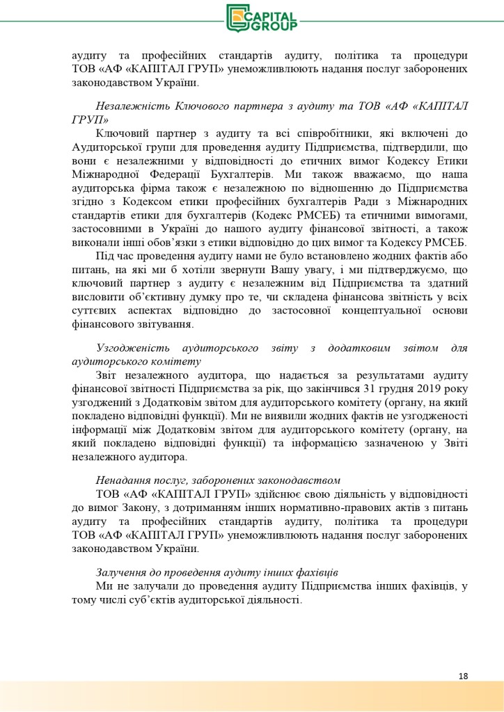 Аудиторський звіт за 2019_page-0018