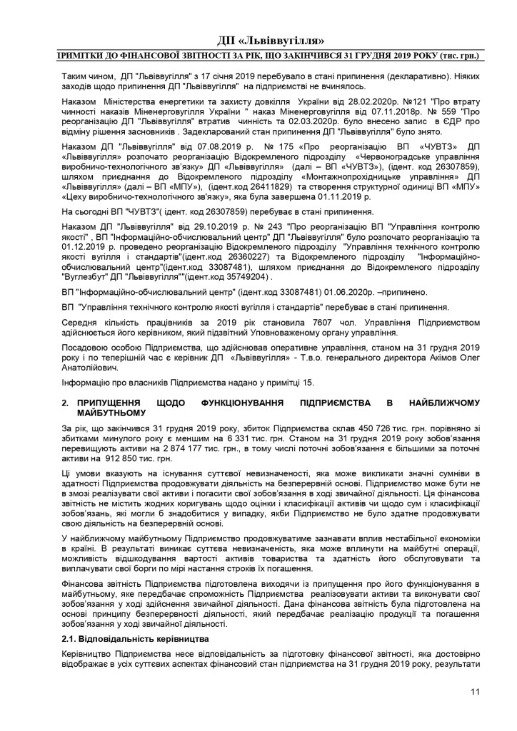 Аудиторський звіт за 2019_page-0031