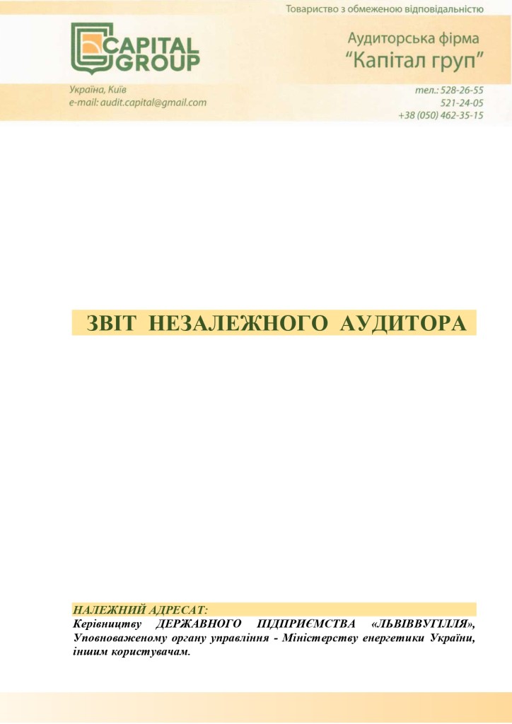 Аудиторський звіт_f_page-0003