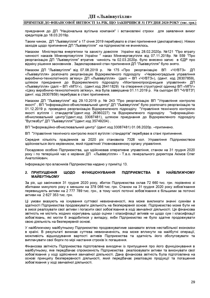 Аудиторський звіт_f_page-0029