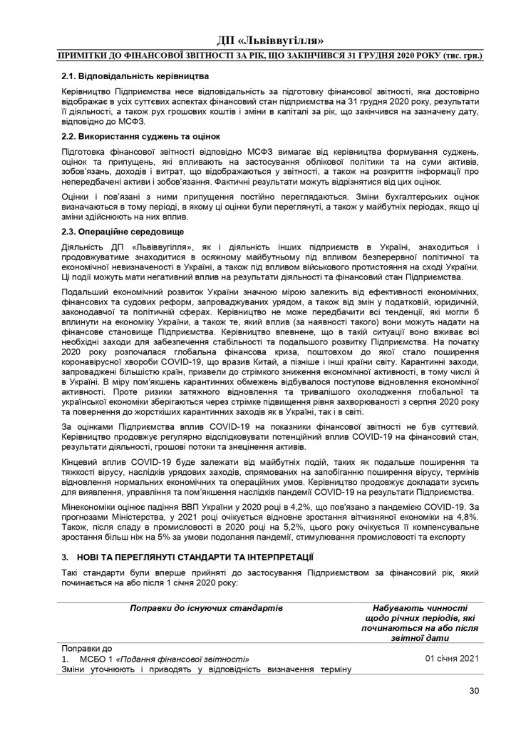 Аудиторський звіт_f_page-0030