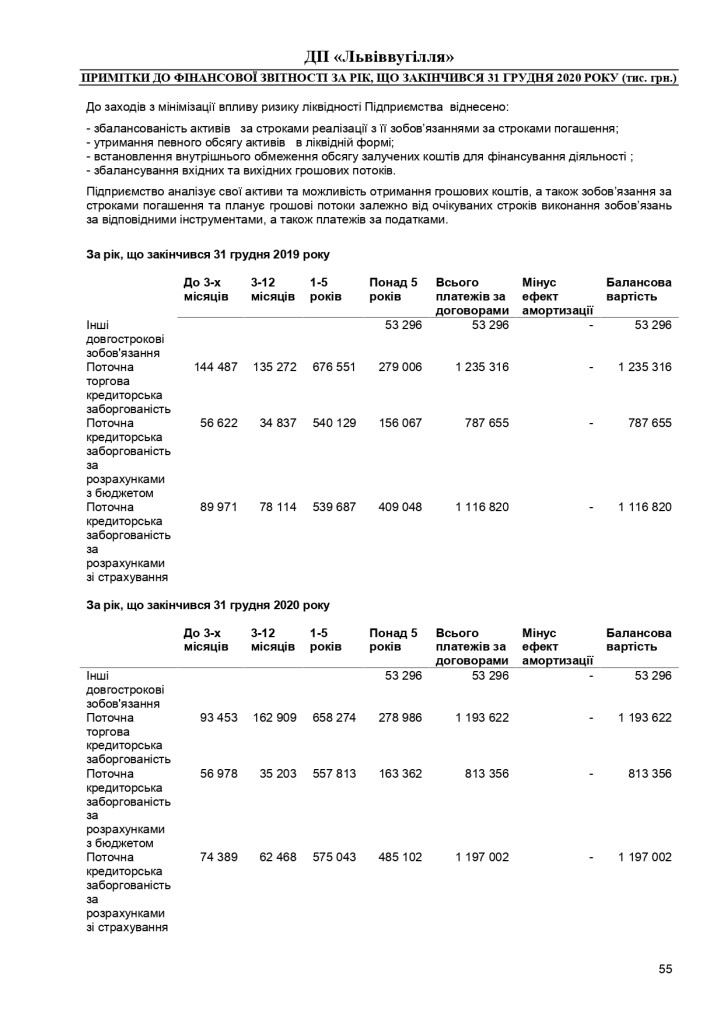 Аудиторський звіт_f_page-0055