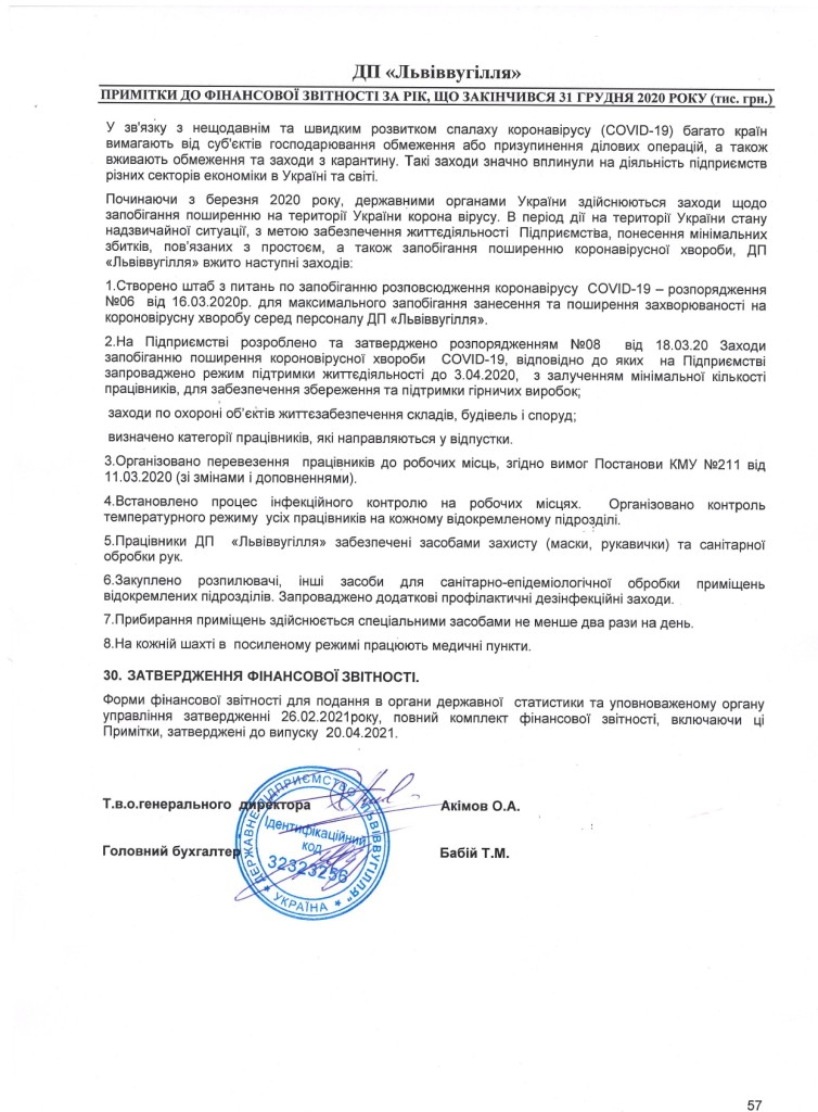 Аудиторський звіт_f_page-0057